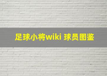 足球小将wiki 球员图鉴